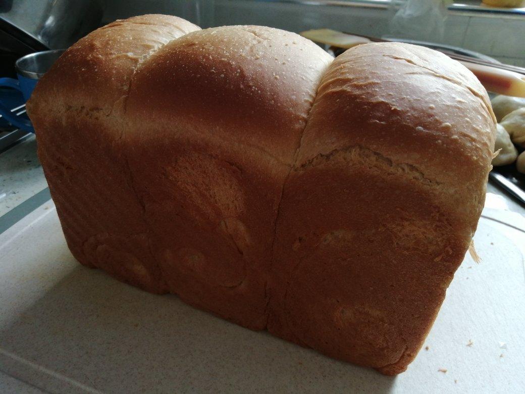 全麦拉丝吐司                              一次发酵就成功