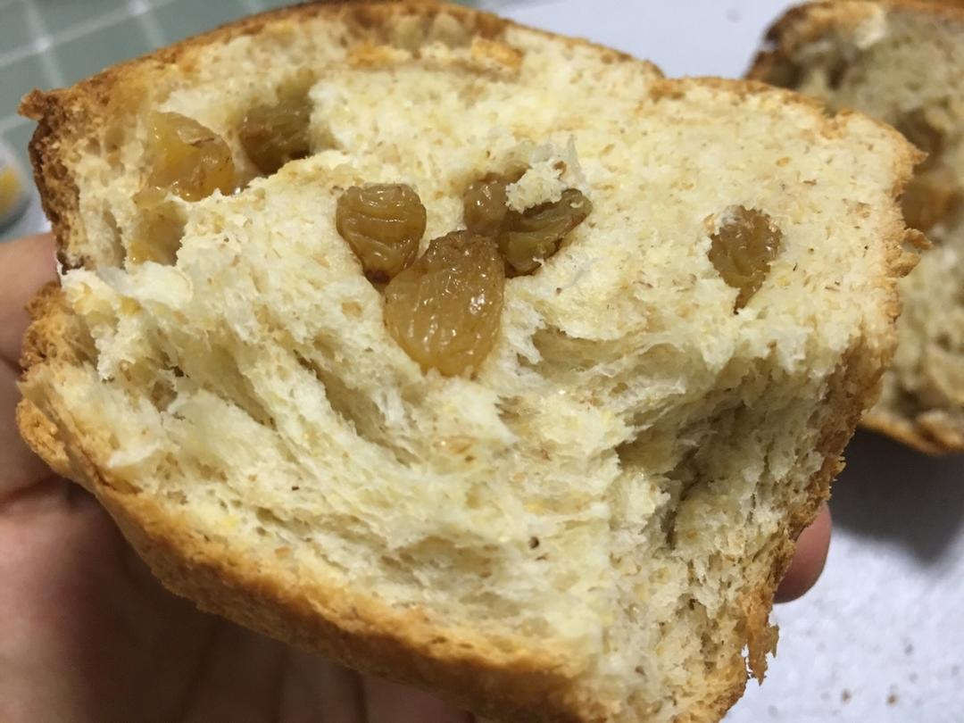 用烤箱自己做面包--手工牛奶吐司面包