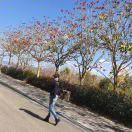 手机用户5022_a603