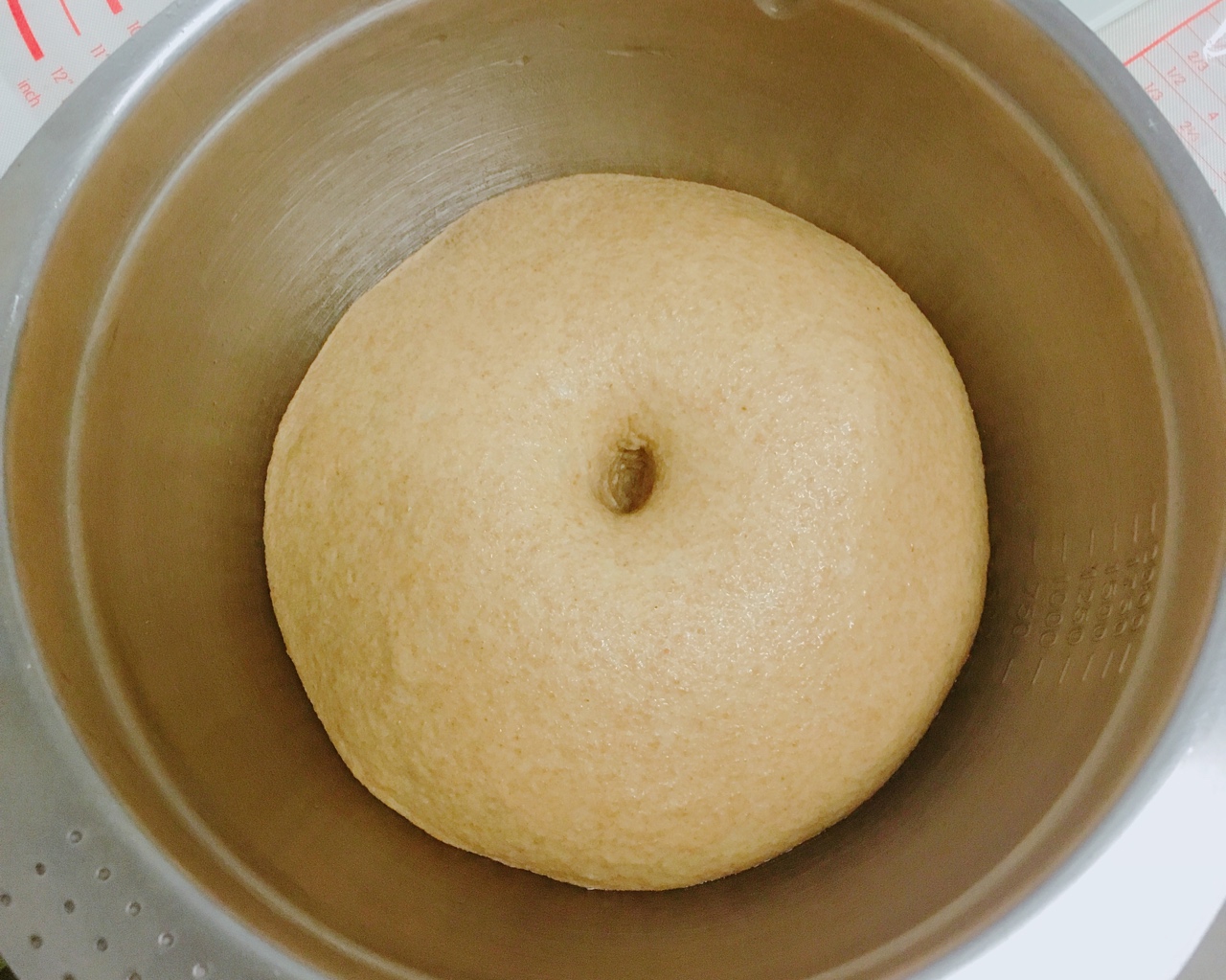 全麦核桃苹果肉桂卷（纯素）的做法 步骤8