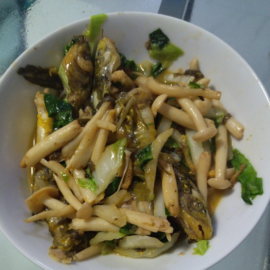 闷个黄骨鱼，黄丫头，黄鸭叫，家常简单味的！