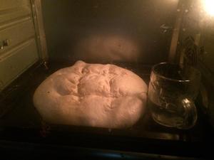 面包圣经之基本炉火面包的做法 步骤7