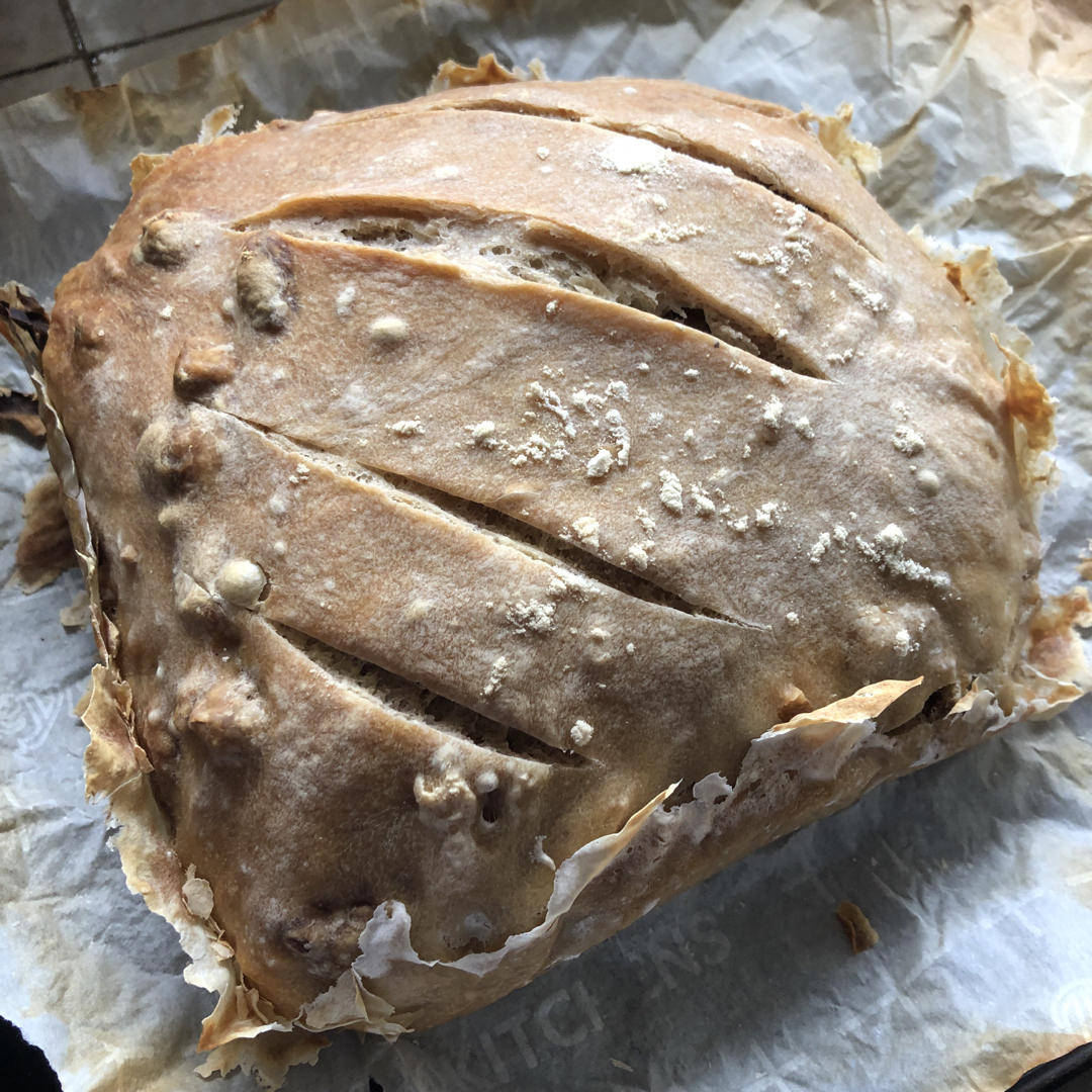 零失败、免揉面、好吃的核桃仁葡萄干欧包