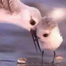 星缘涵妈