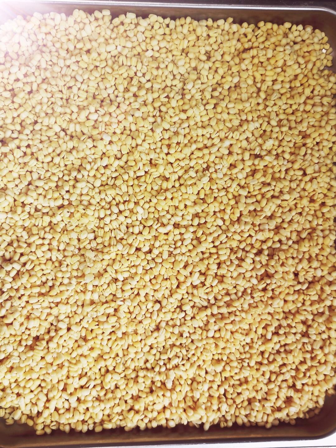 家庭无添加手工绿豆糕