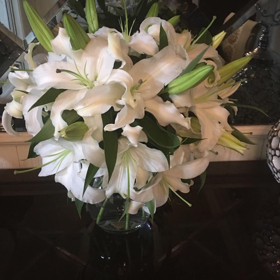 樱桃小芯