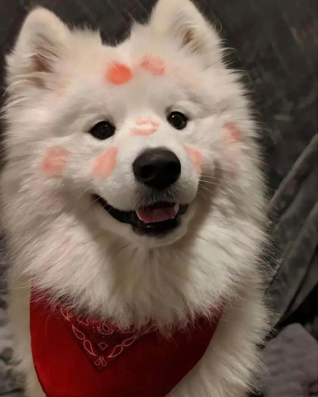 bbbbbbbbbaaa