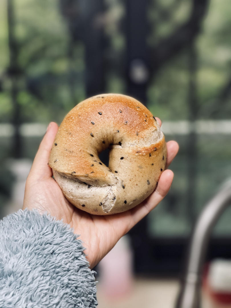 9升烤箱的食物探索
