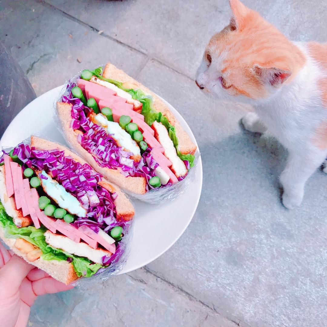 如何做超厚的沼三明治~详细tip！牛油果鸡蛋午餐肉三明治~