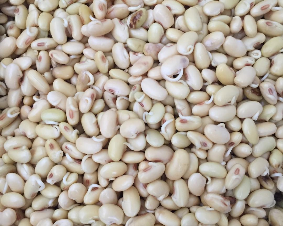 黄豆芽的姥姥做法