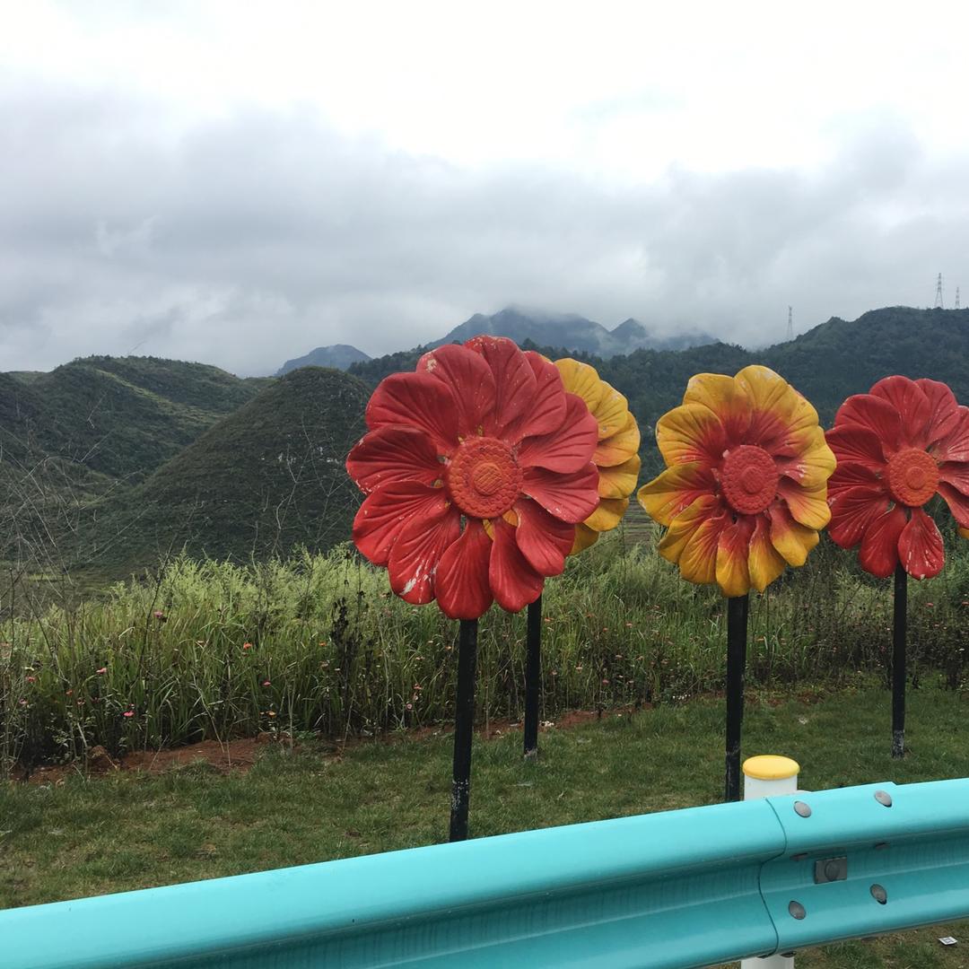 茻仔