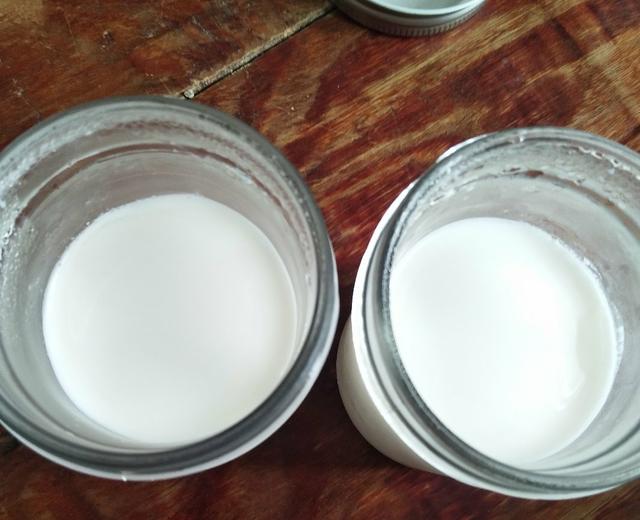自制酸奶（不插电就可以做的酸奶，简单、好上手）的做法