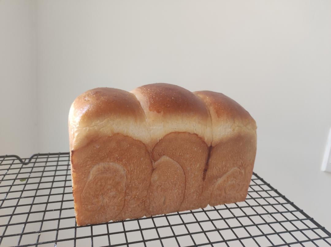 蜂蜜吐司（金大旺）