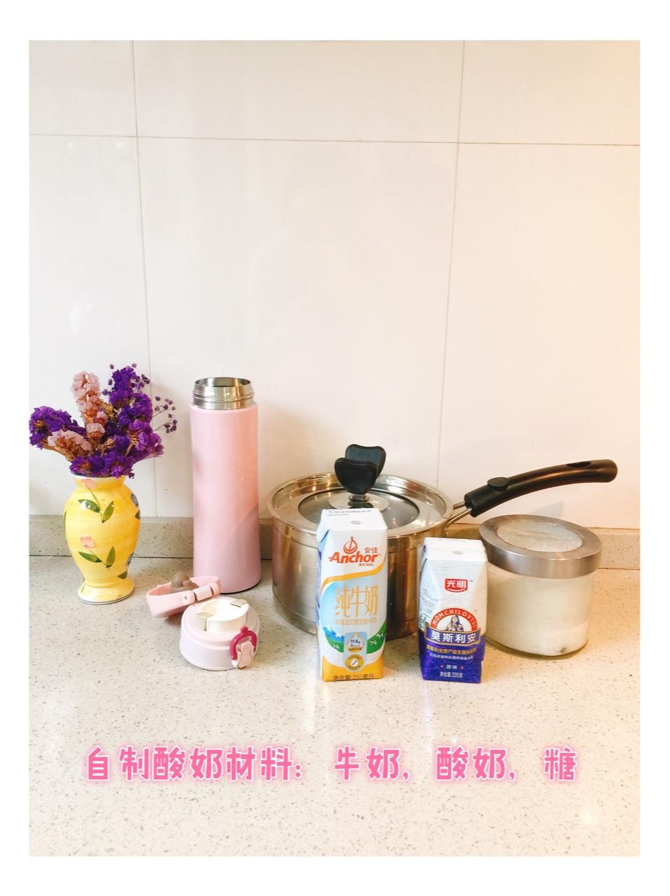 自制酸奶（不用菌粉）