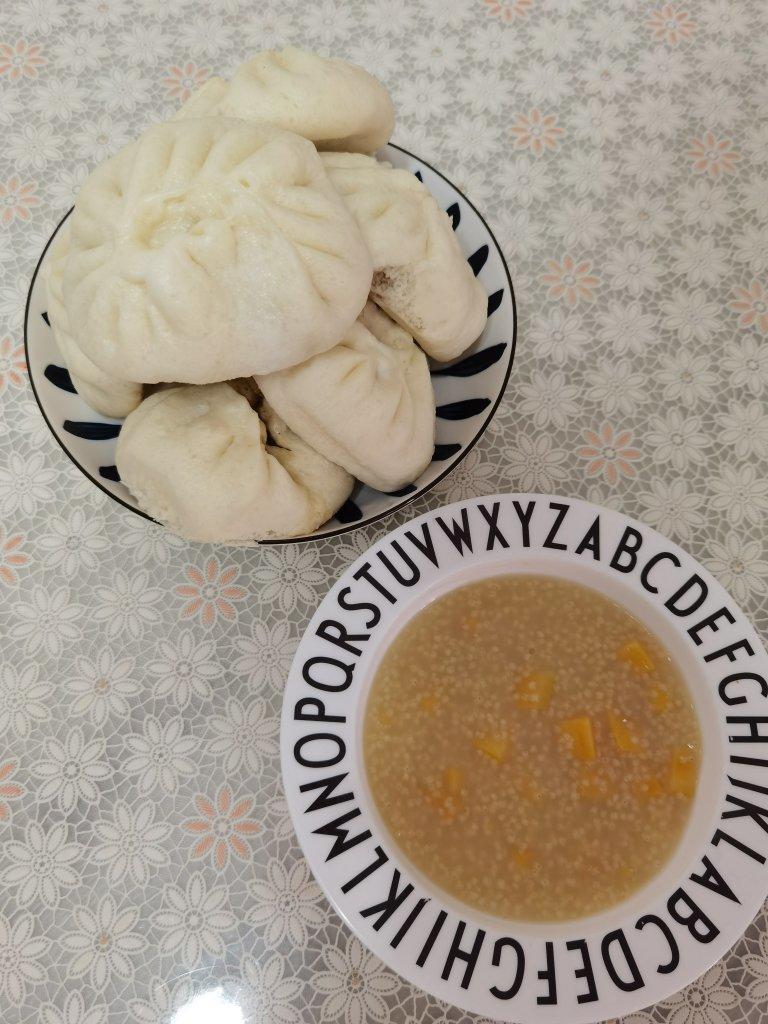 一次发酵肉包子