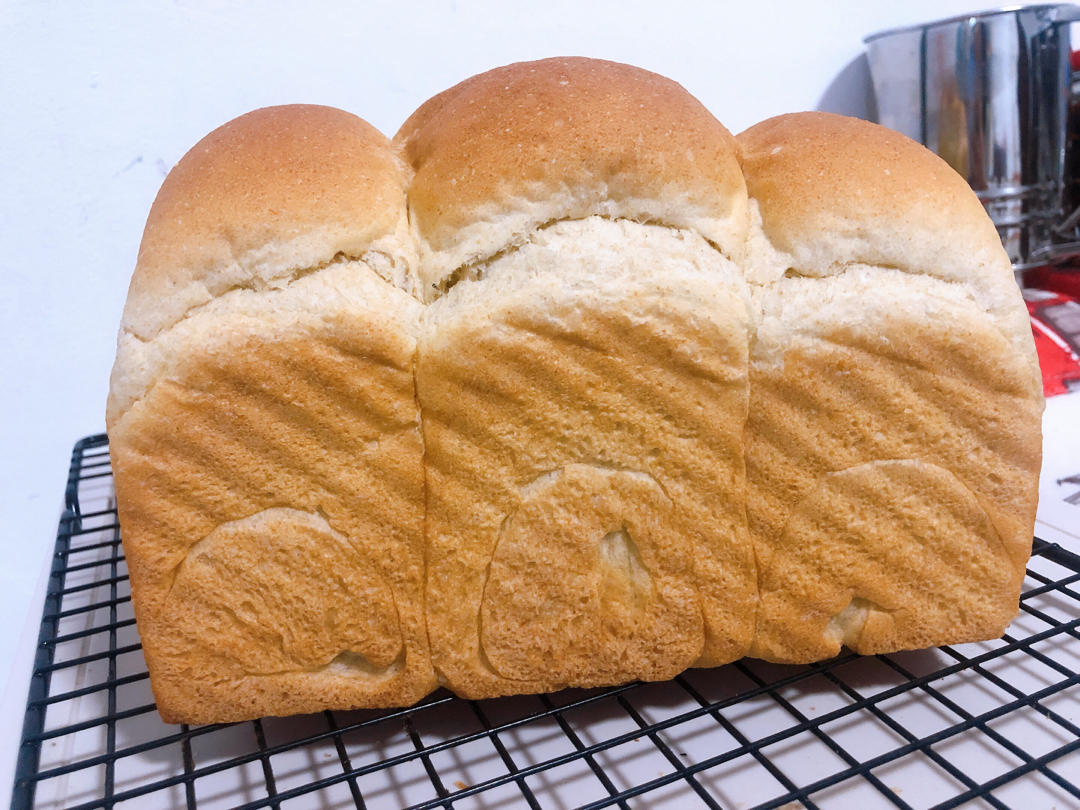 波兰种全麦吐司（40%全麦）