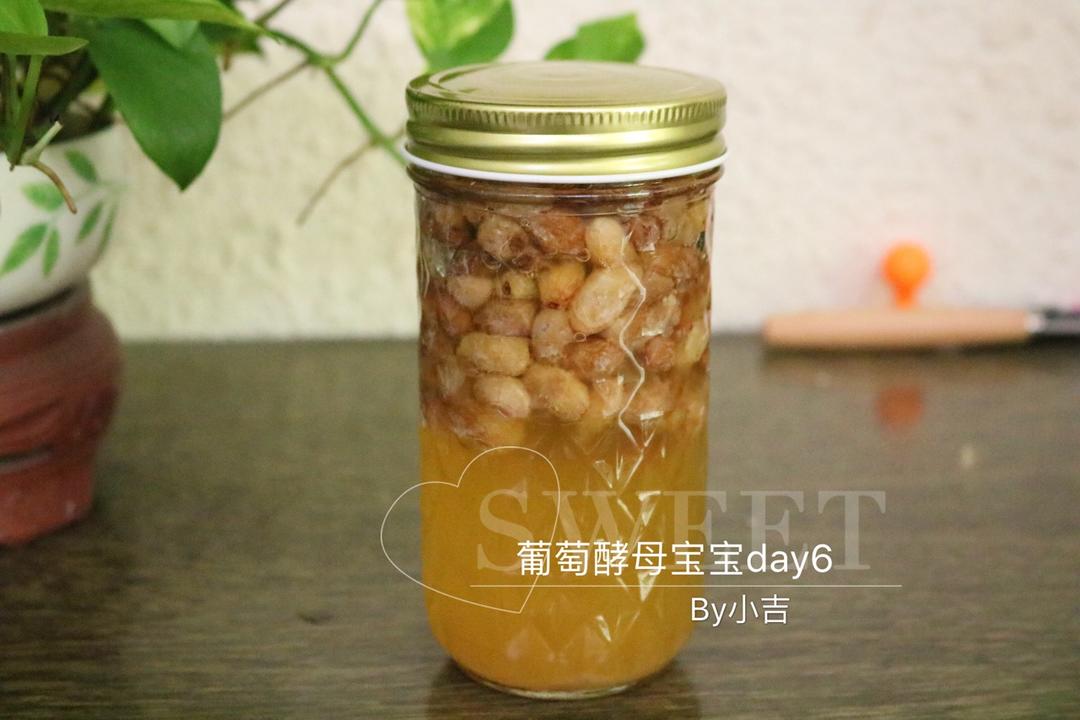 天然酵母宝宝养成记