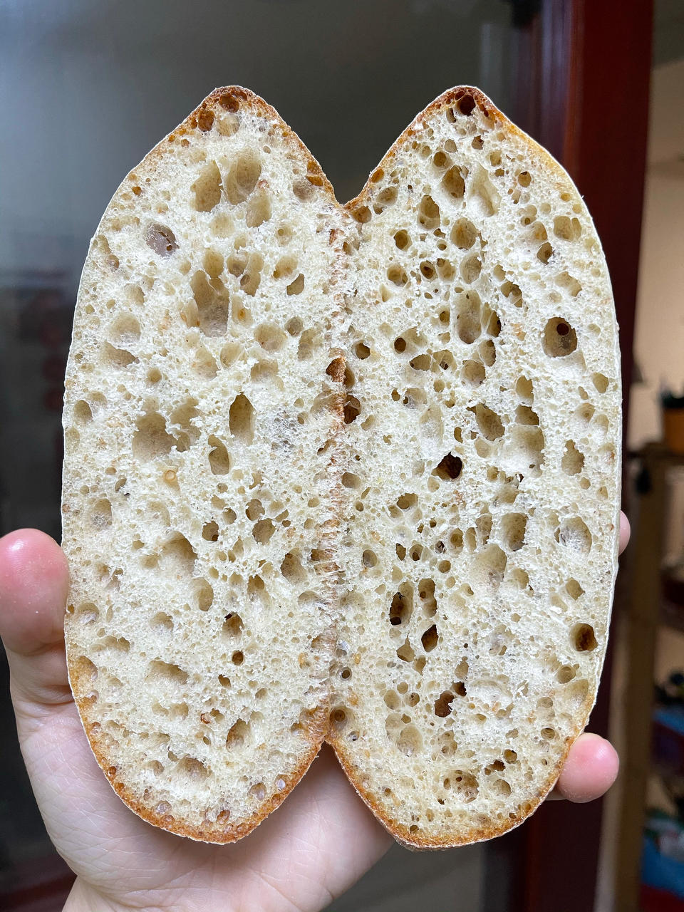 9升烤箱的食物探索