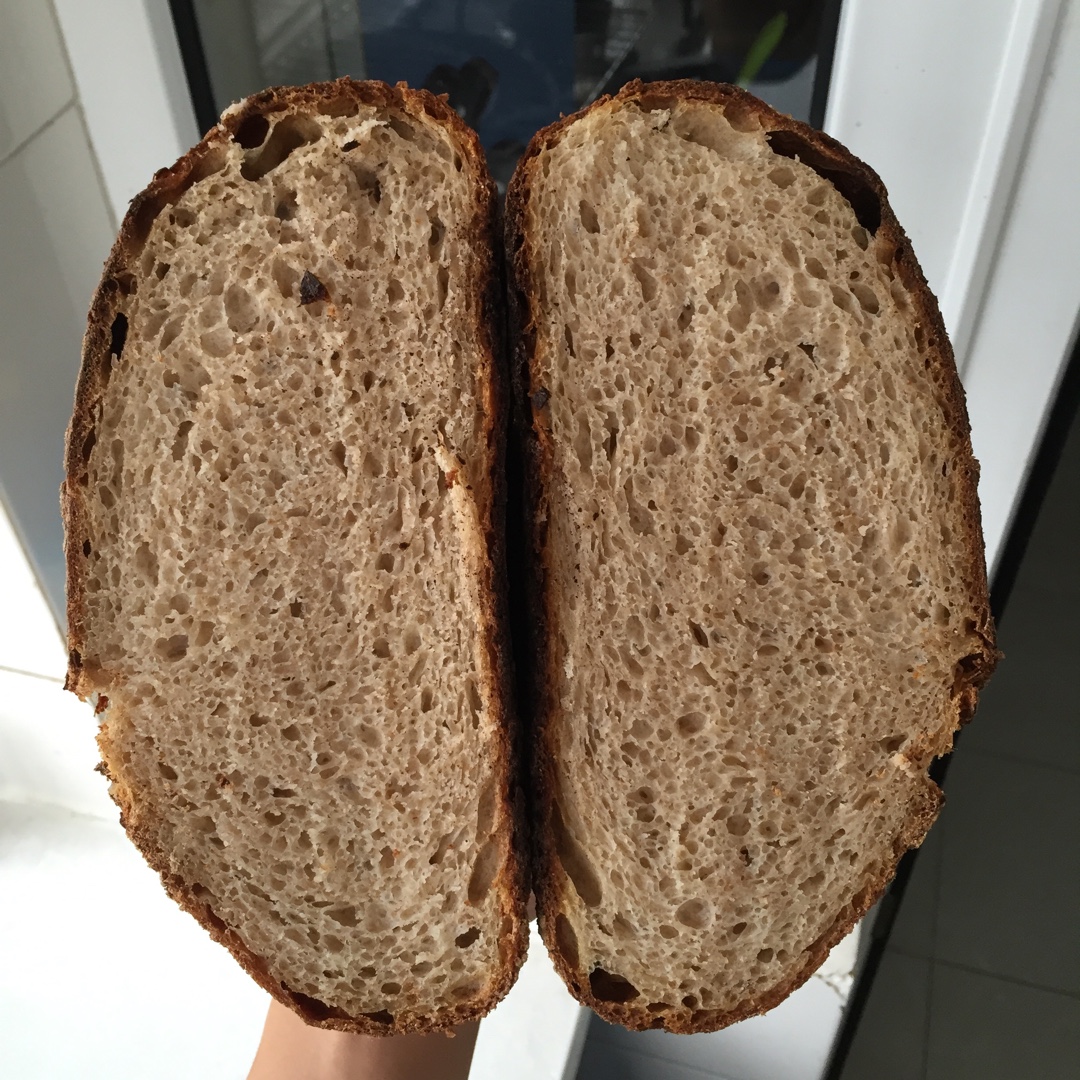 【Ken Forkish】Field blend #1轻黑麦天然酵种欧包