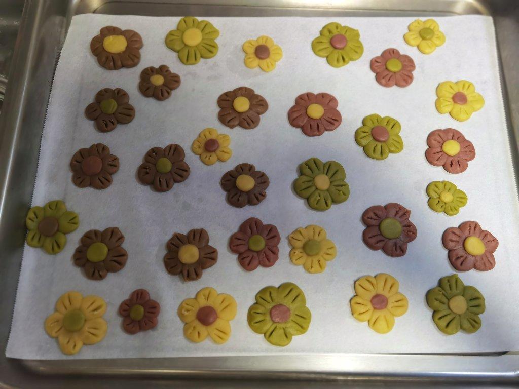 四色小花花饼干‼️免模具‼️简单好做