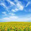 手機用戶6091_1tx6