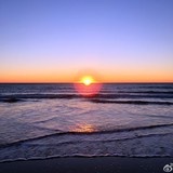 lily_4jac
