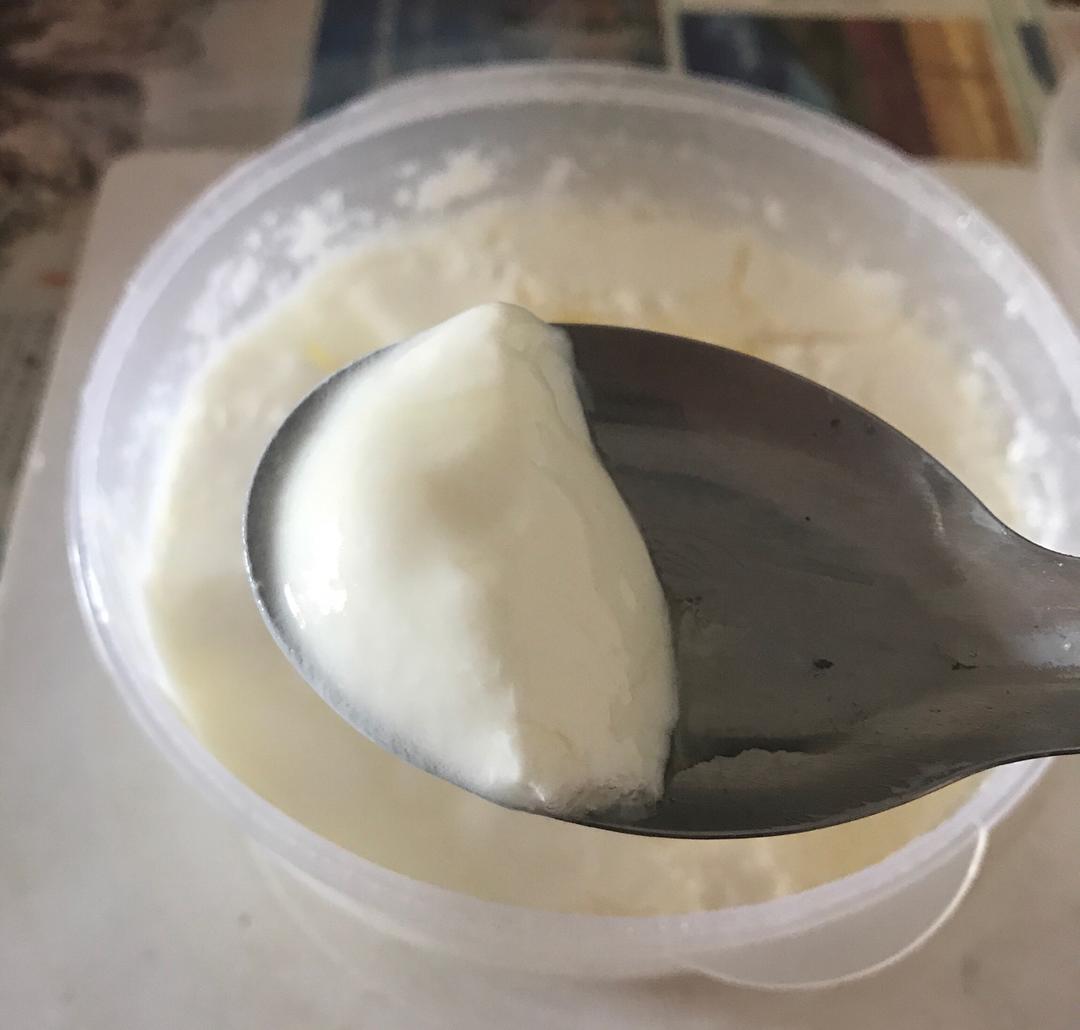 无需酸奶机的自制酸奶