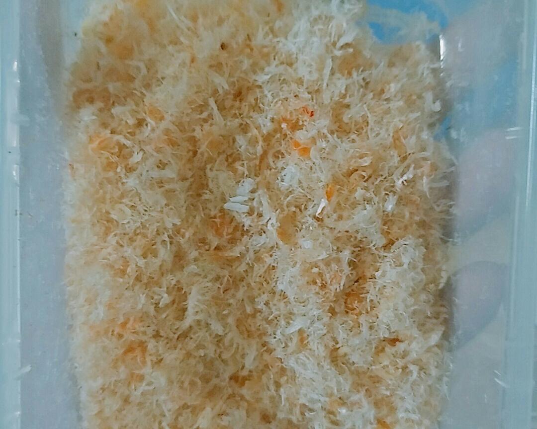 婴儿虾干松的做法