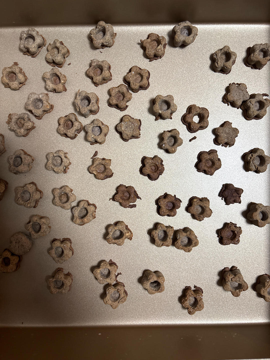快手纤维谷物脆饼