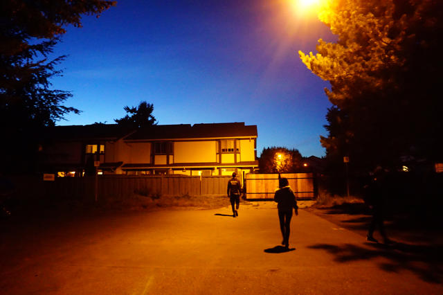 快快快到鱼缸里来