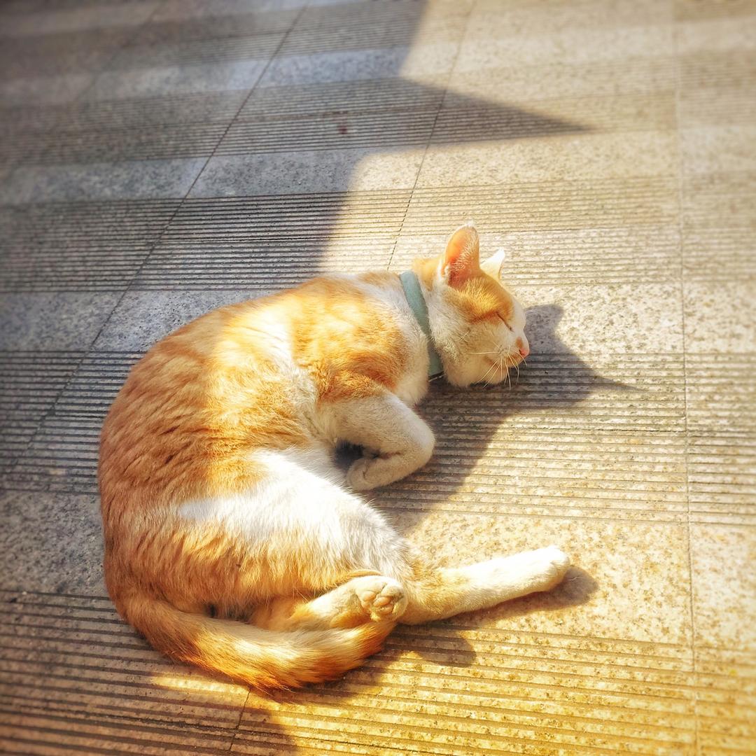 高龄成长发育中