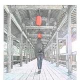 佳丽猪