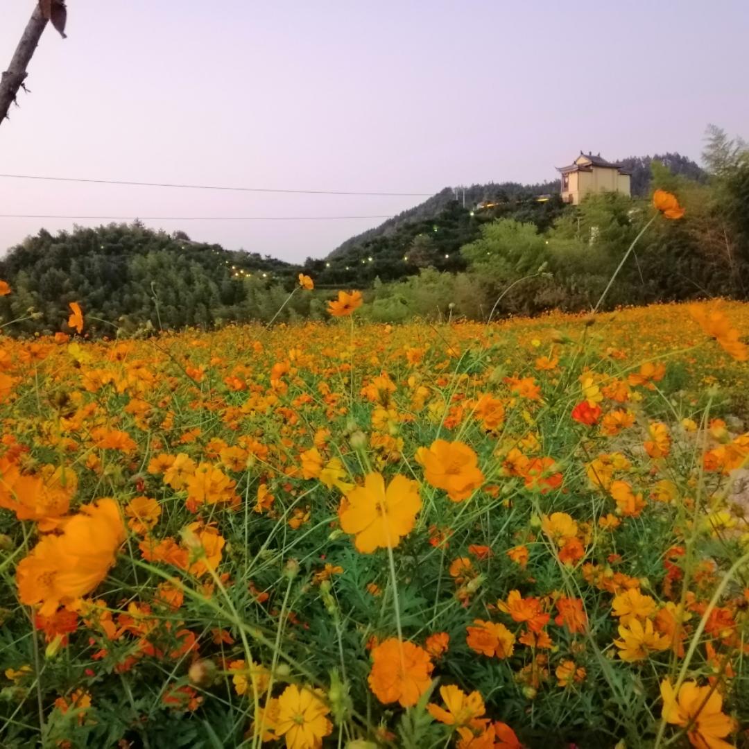 小果果的厨房