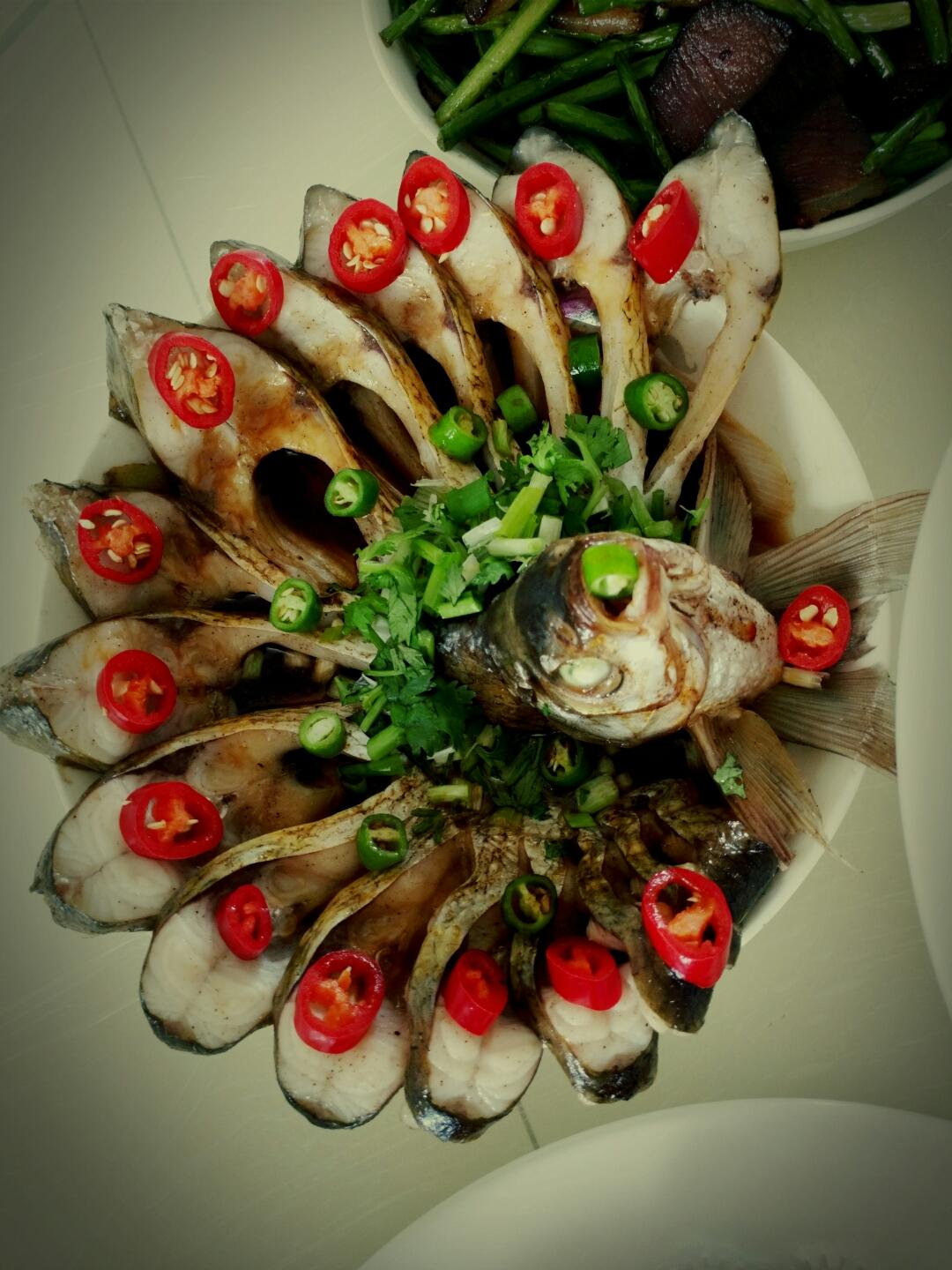 孔雀开屏鱼.