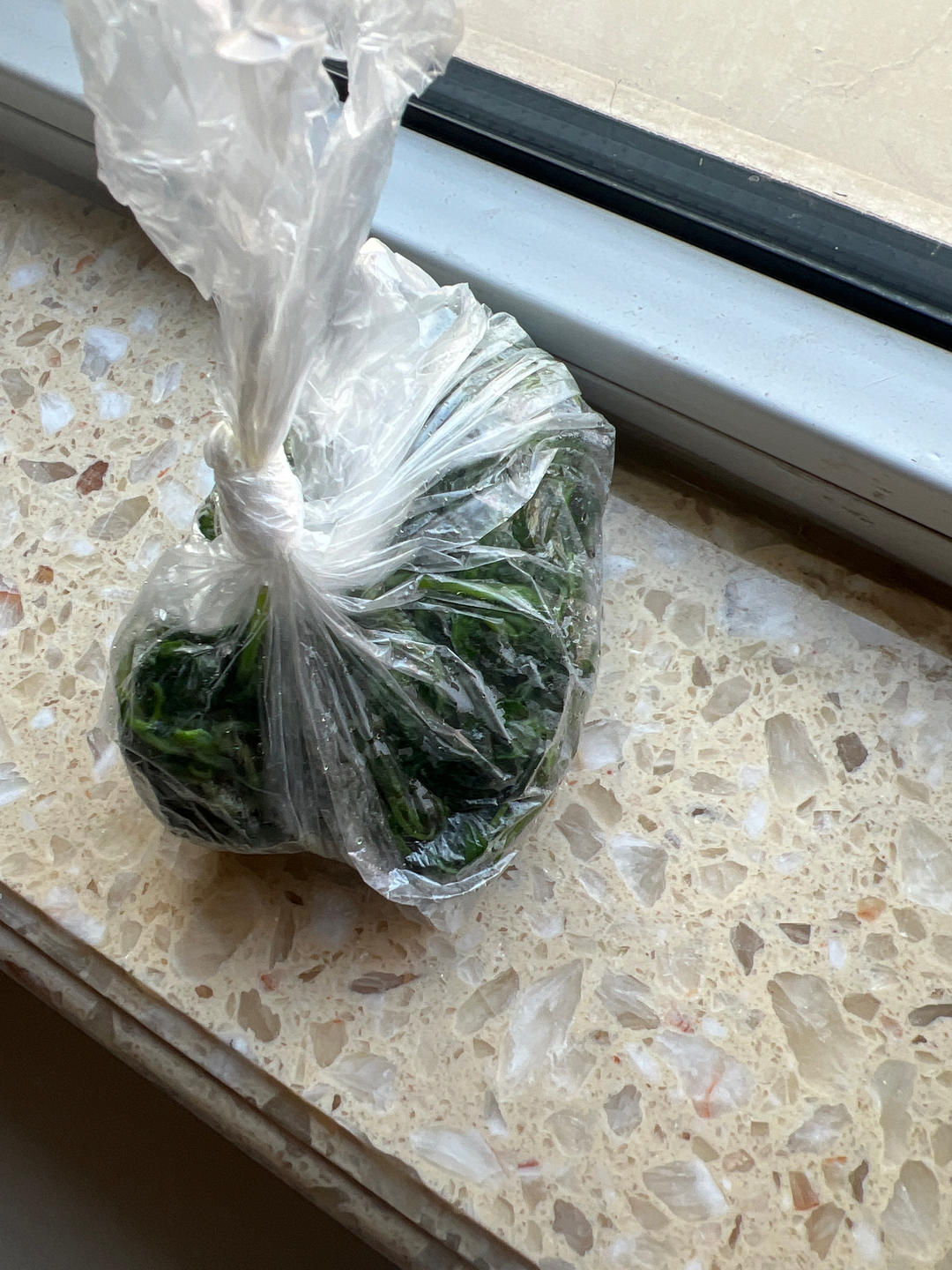 艾草这样处理‼️颜色翠绿‼️保存一年都不坏