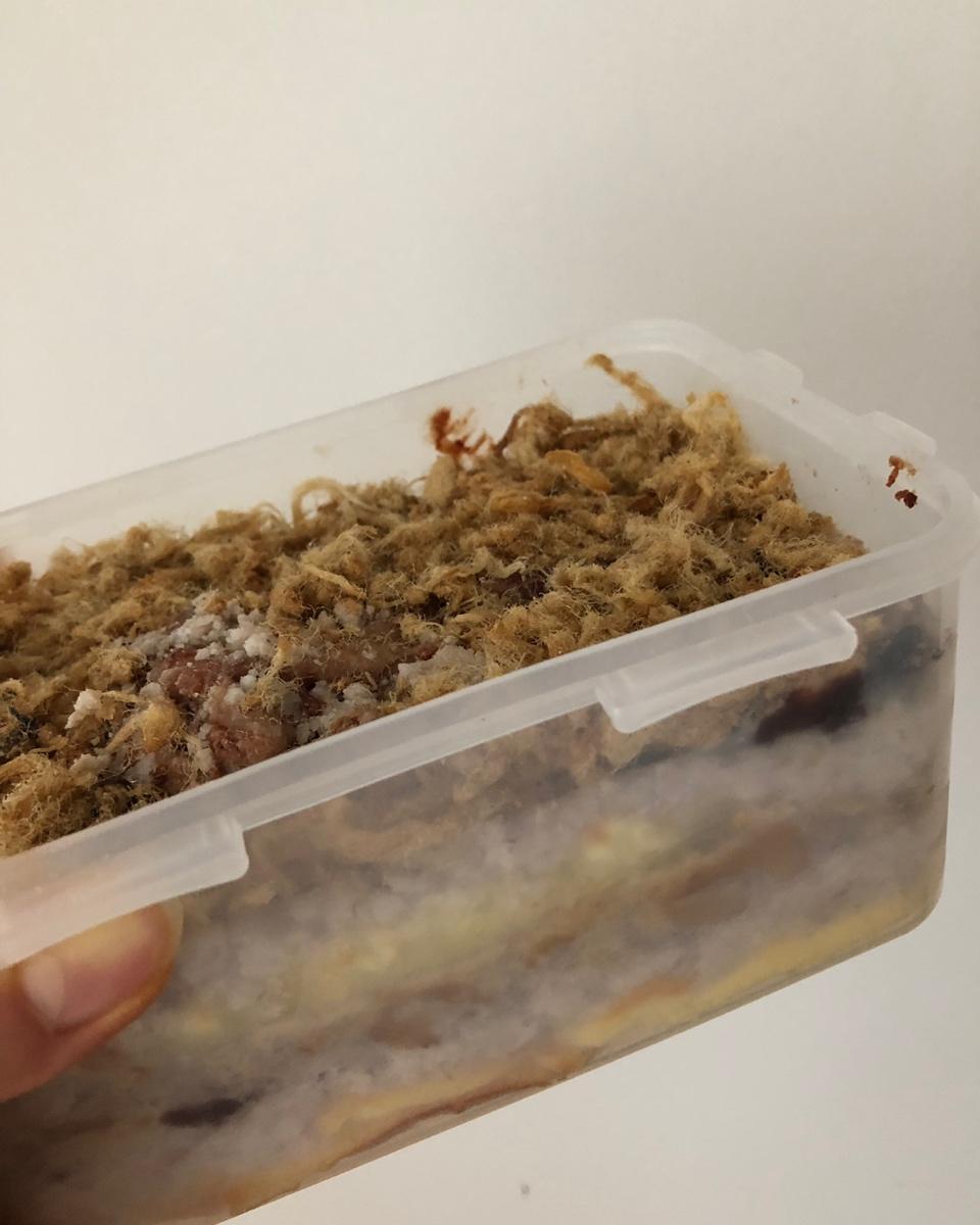 芋泥麻薯肉松蛋糕盒子