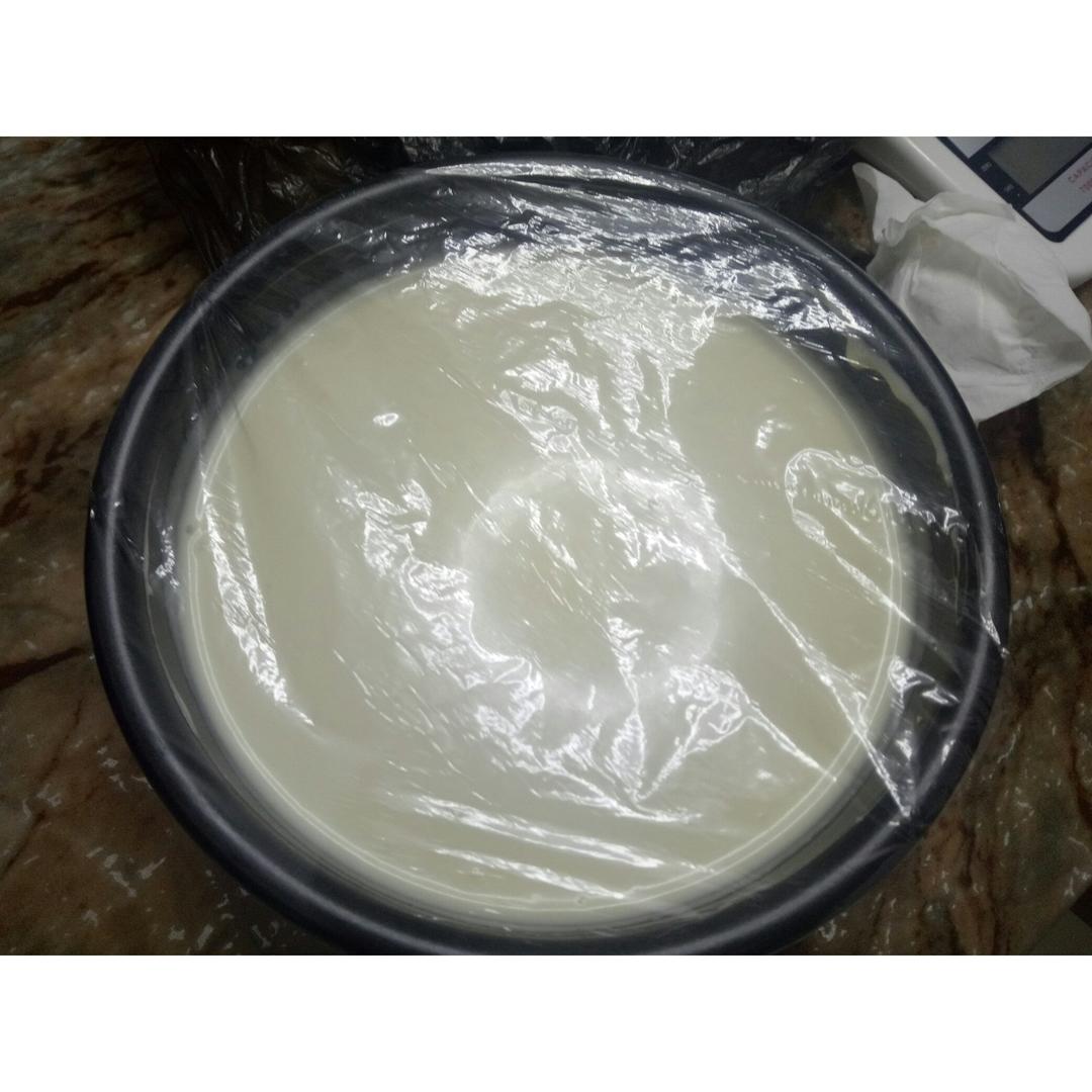 冻酸奶芝士蛋糕