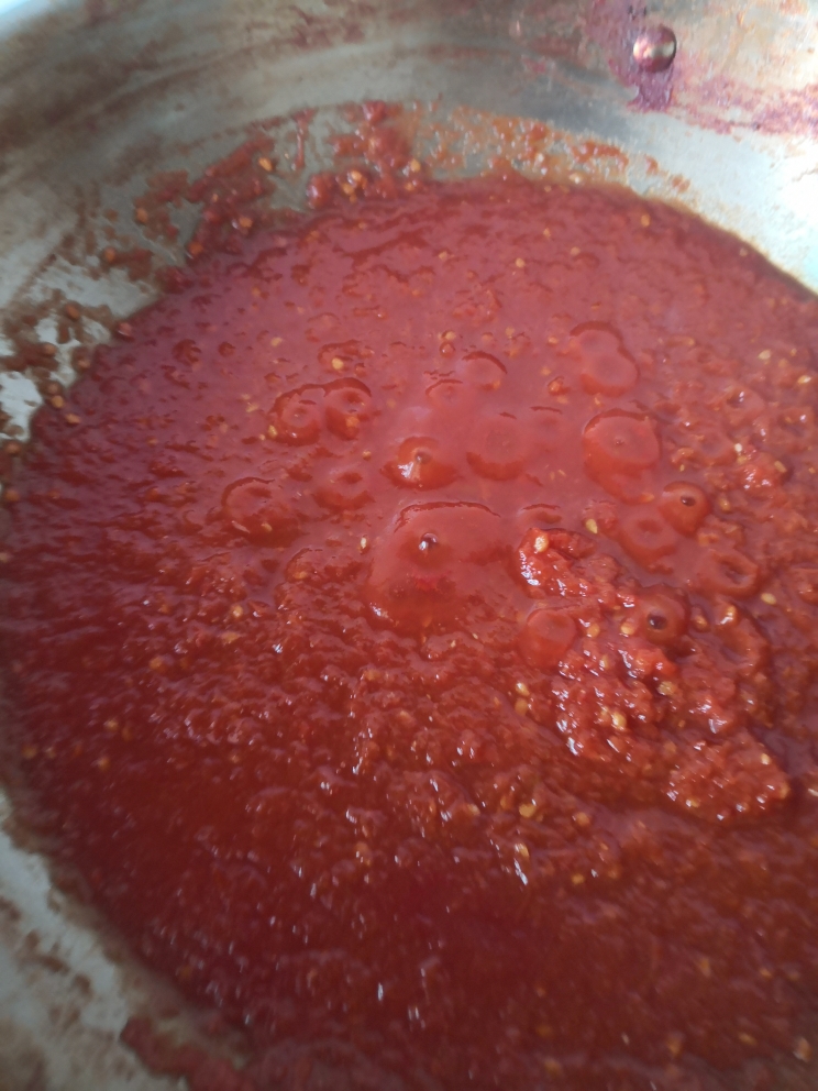 自做番茄酱（漂亮的西红柿）的做法 步骤7