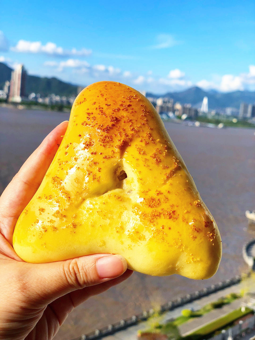 超软牛奶吐司（2个450克吐司模）