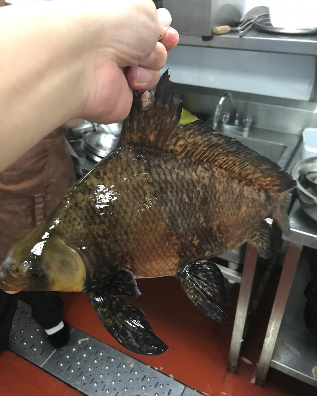 午餐•2018年5月21日