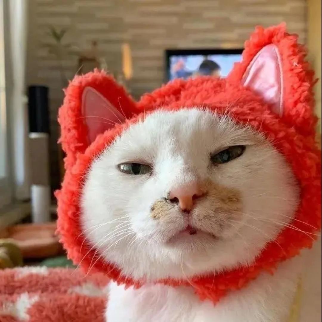 RoxanneZK