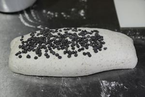 《割口发烧友的面包》— 巧克力豆大理石乡村面包的做法 步骤9