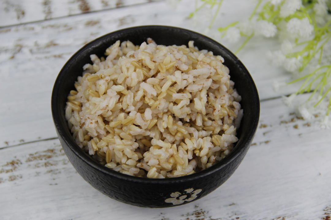 降血脂燕麦糙米饭（伊莱特聚能碳鼎）