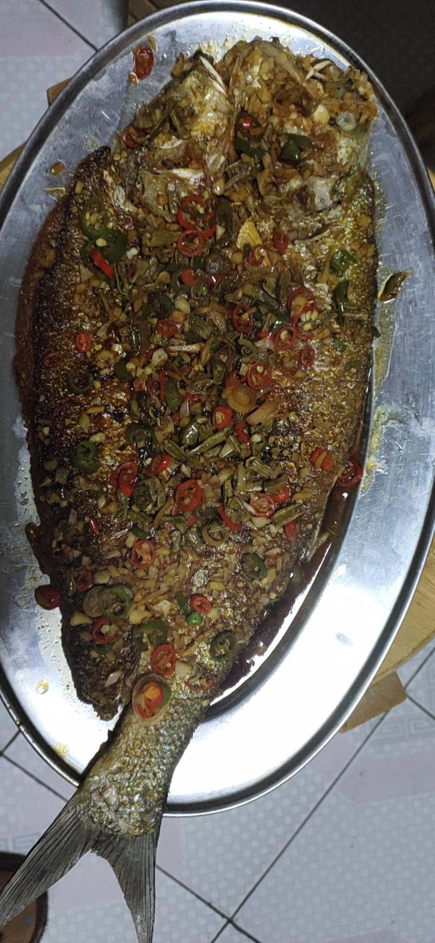 香煎大白鱼🐟
