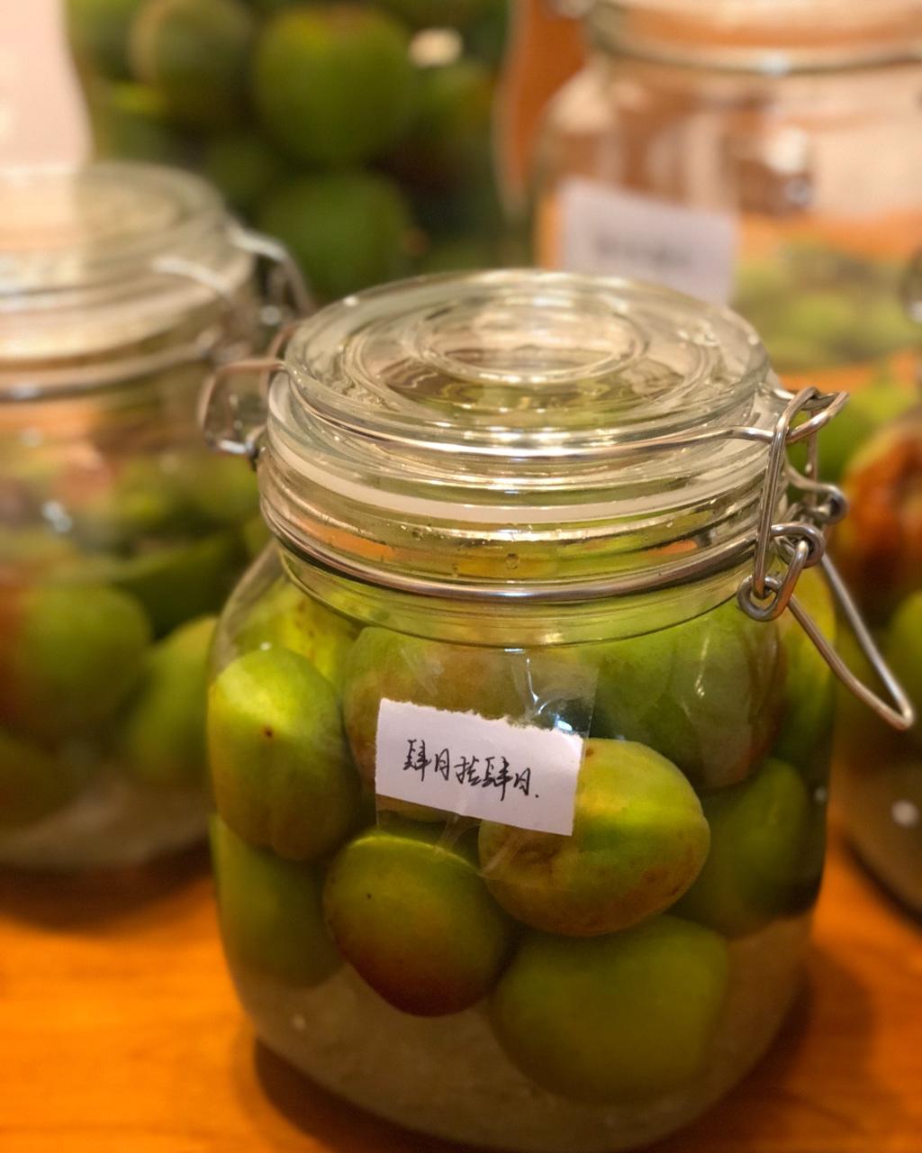 青梅酒（优的春日私酿第二話）