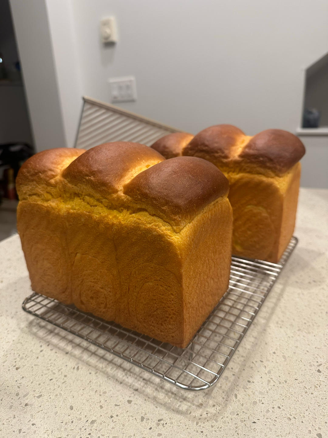 做过最好的南瓜吐司配方，超强爆发力（中种法）