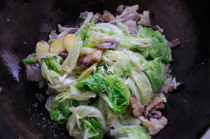 原香羊肉烩白菜 营养滋补美味家常菜 冬天御寒进补的首选的做法 步骤9