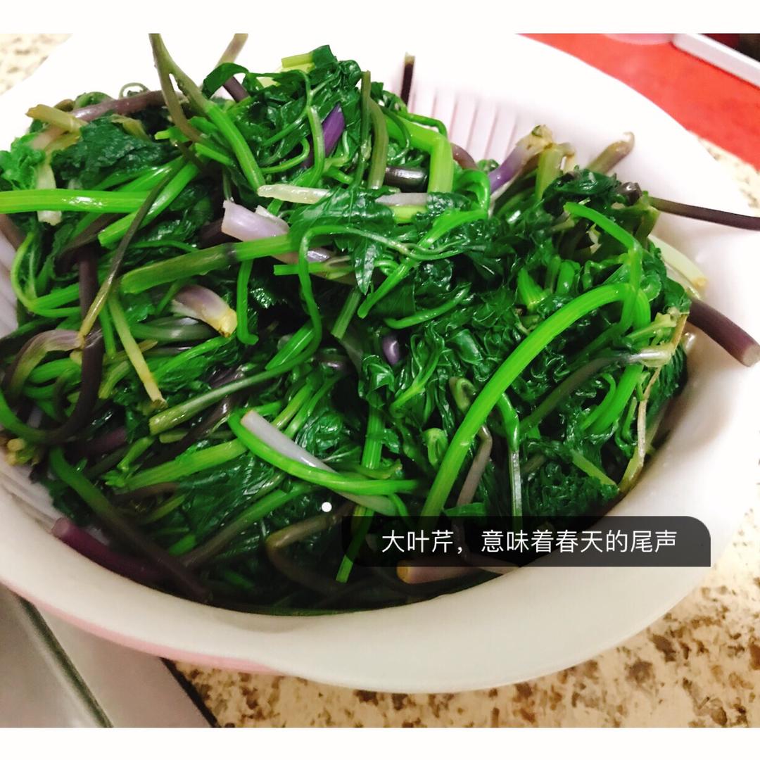 大叶芹包子