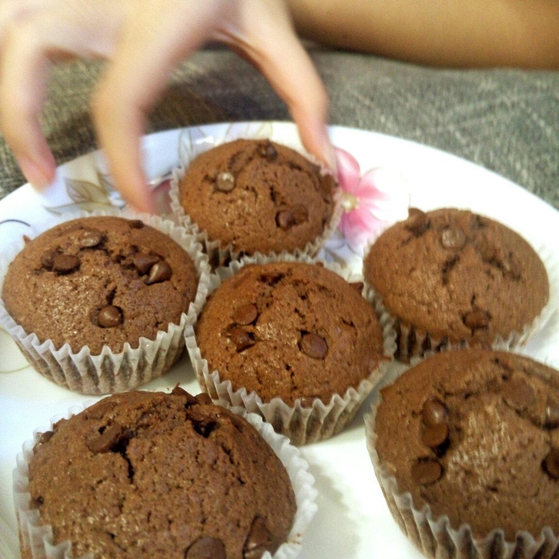超润巧克力纸杯蛋糕（非常适合裱花、盖糖皮的cupcake方子）