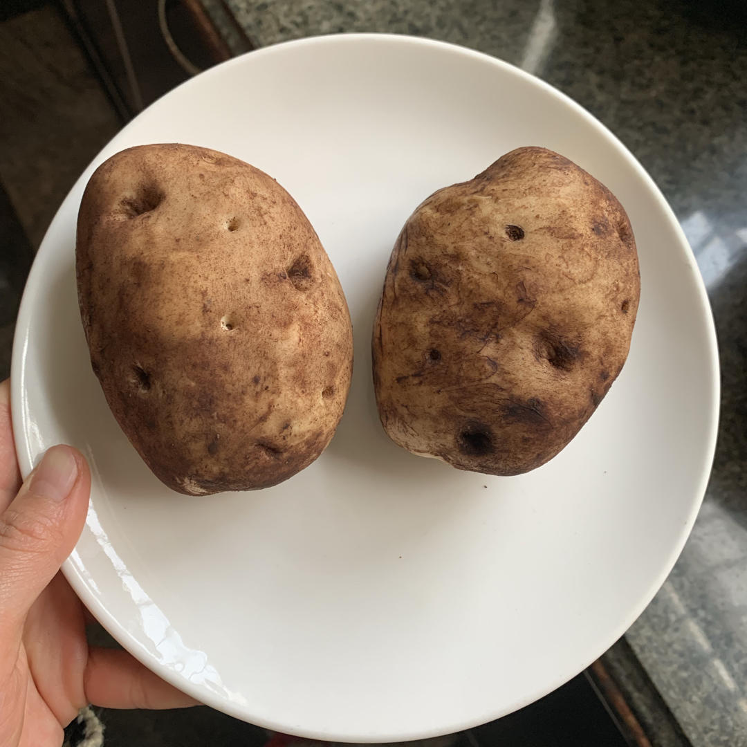 《Tinrry+》仿真土豆面包